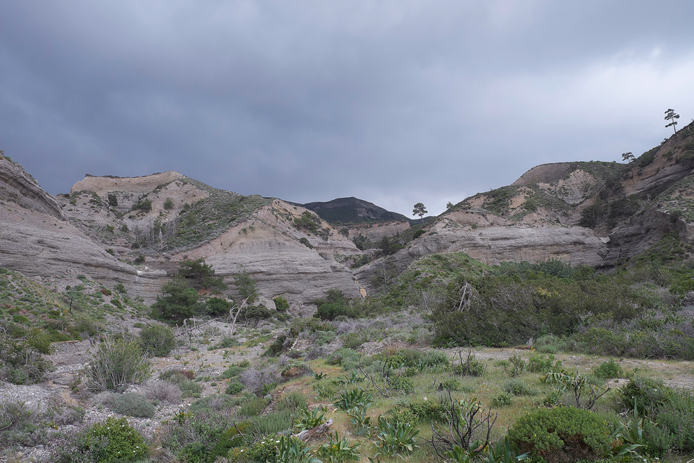 AppolikkiaRd-KattaviaRdLandscape0418-4