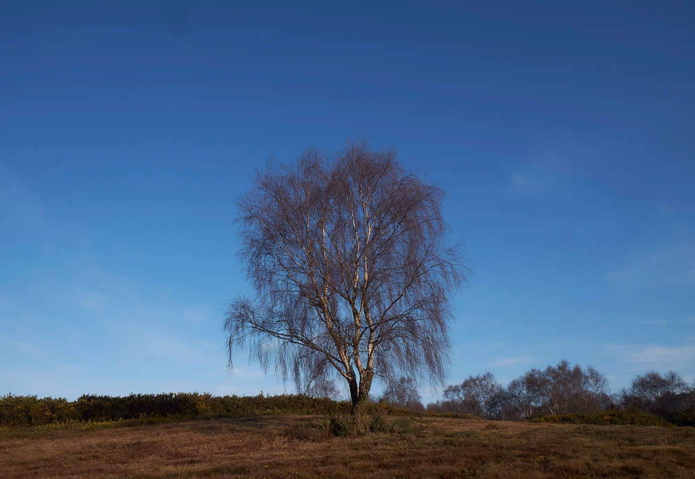 KellingHeath290318-2