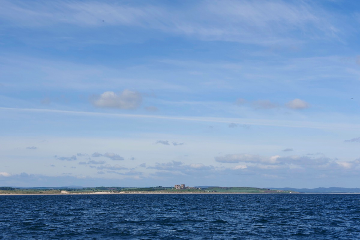 Farne Islands - Northumberland 13/06/19