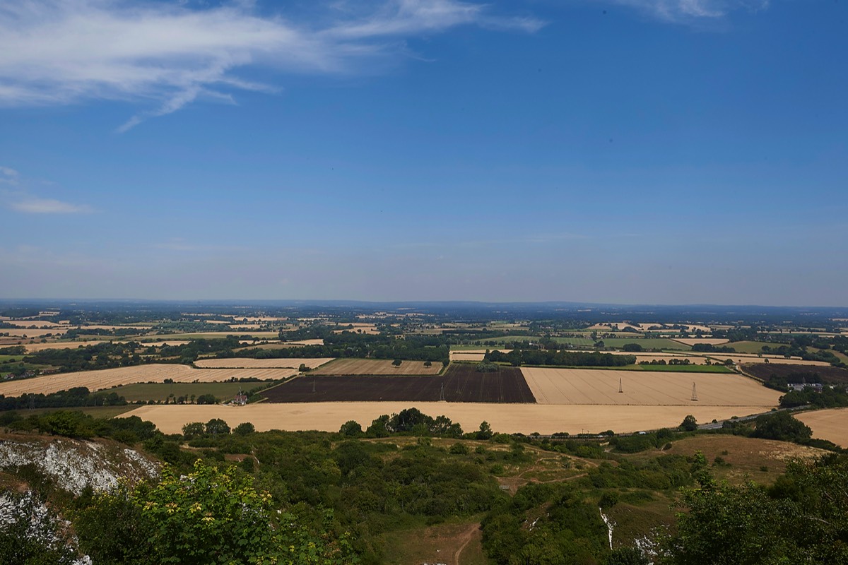 Malling Down - Sussex 26/07/18