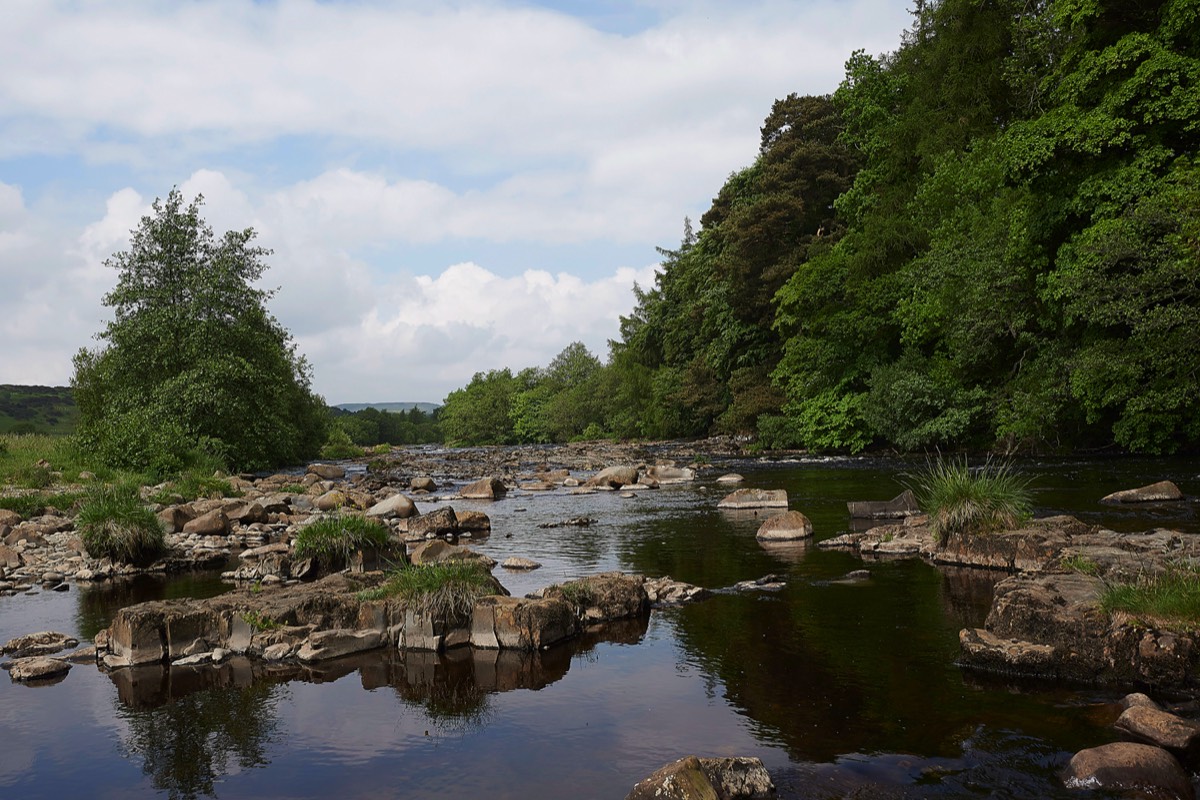 Low Force 01/0618
